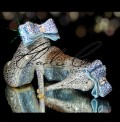 4  5 or 5.5 Bella Blue Bow Crystal Heels