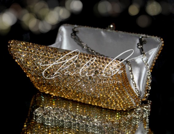 Champagne Crystal Hard Case Clutch Bag