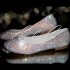 0 AB Crystal Round Toe Flat Pumps