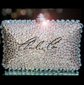 Swarovski Crystal Vintage Champagne Trim Clutch