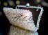 Swarovski Crystal Vintage Champagne Trim Clutch