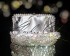 Diamond Rock Crystal Clutch Bag