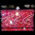 Swarovski Fire  Rock Red Curved Clutch